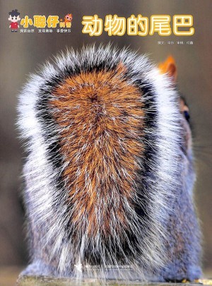 小聪仔杂志订阅